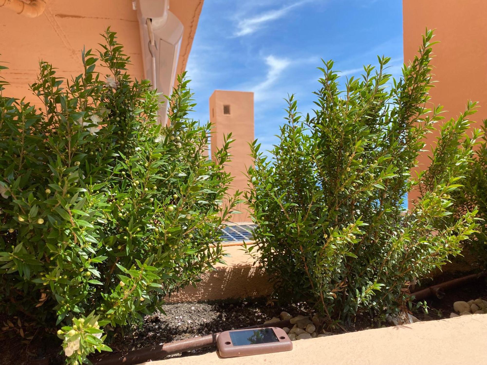 Sunrise Atalaya Amanecer Suite Мохакар Екстериор снимка